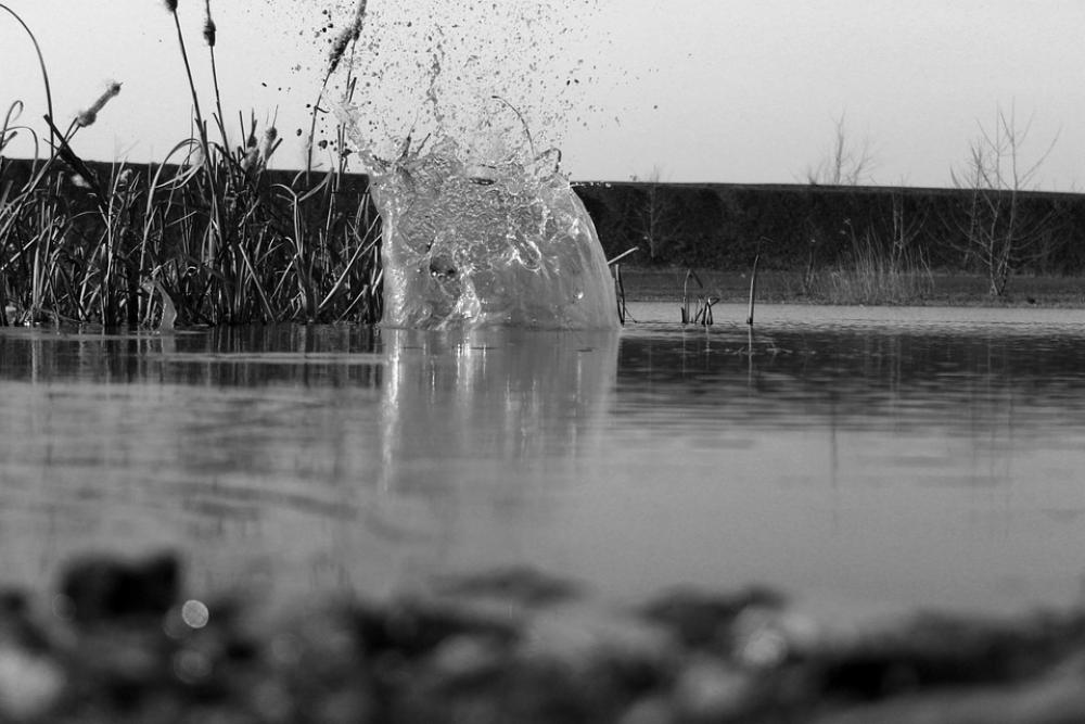Water Spray Water Games Inject Fountain Wet Fresh Water Spray Water Games Inject Fountain Wet Fresh