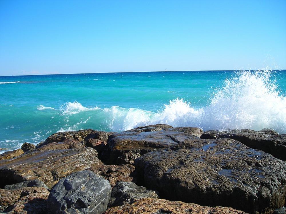 Water Wave Sea Wet Water Wave Sea Wet