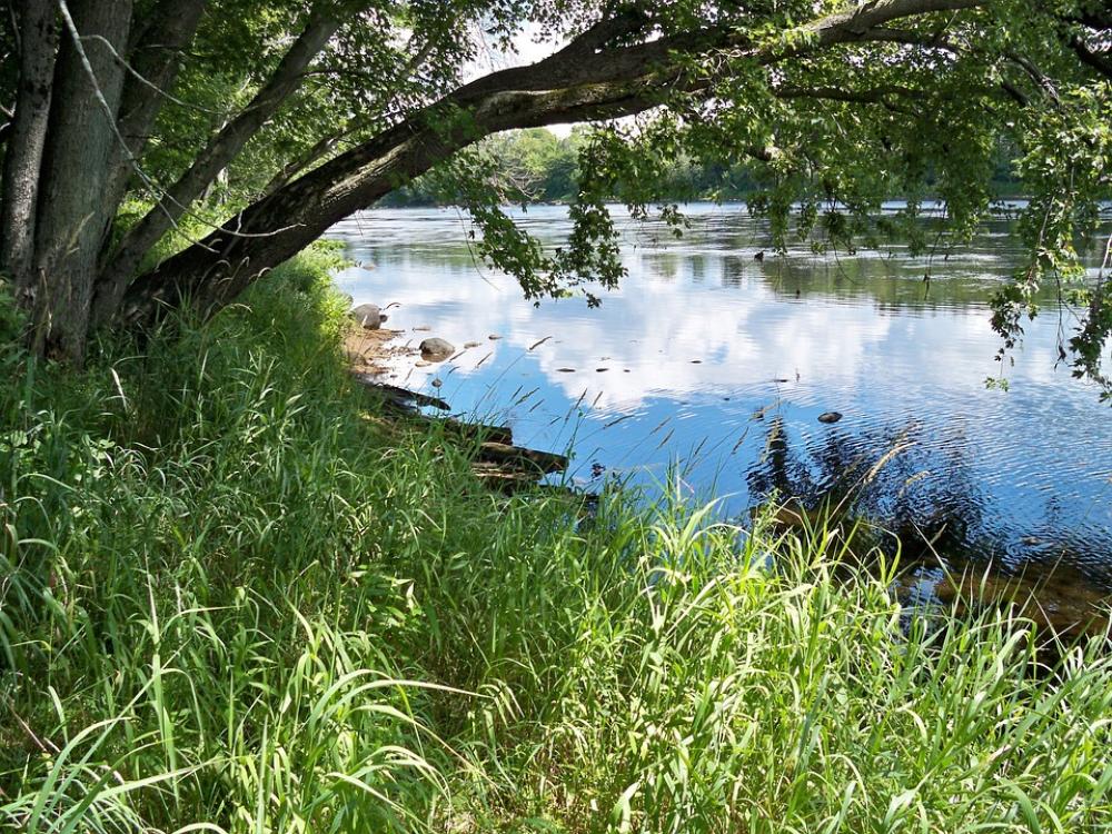 Water Serene Nature Beautiful Serenity Summer Water Serene Nature Beautiful Serenity Summer