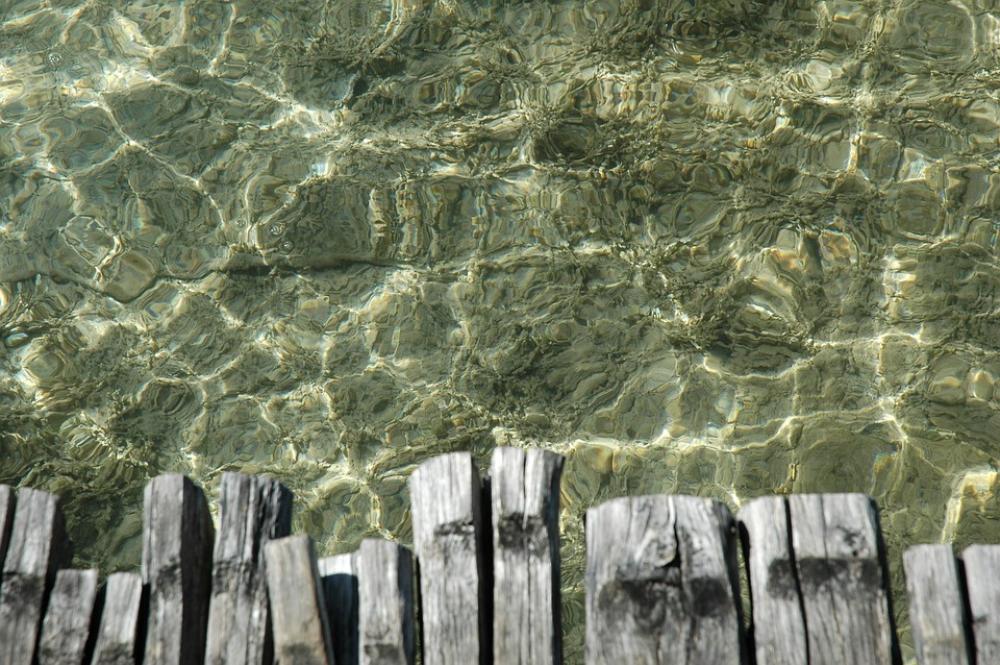 Water Bridge Lake Wood Surface Depths Summer Water Bridge Lake Wood Surface Depths Summer