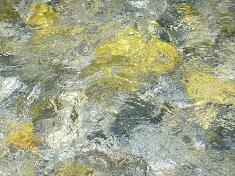 Water Bach Waters Clear Watercourse Nature Water Bach Waters Clear Watercourse Nature