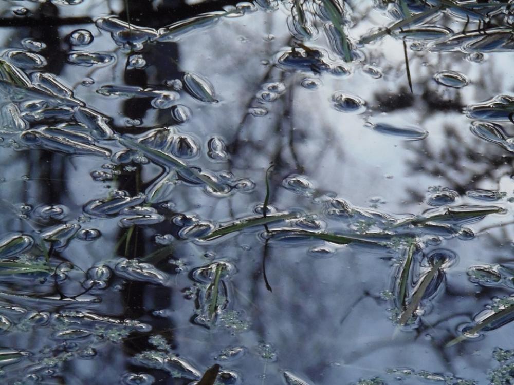Water Nature Liquid Surface Water Nature Liquid Surface