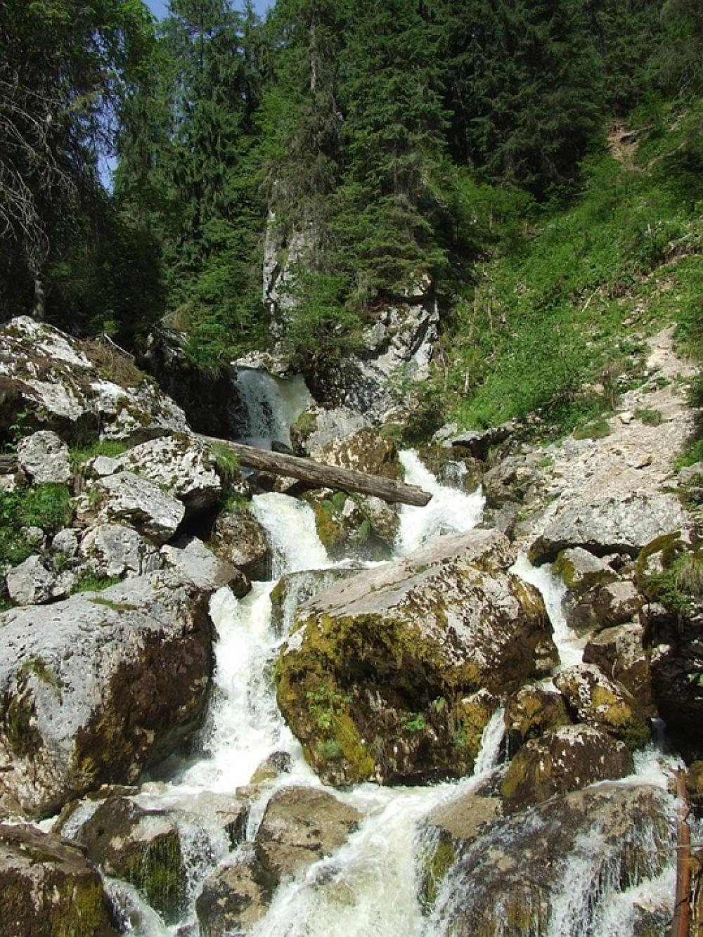 Waterfall Karst Stream Forest Nature Transylvania Waterfall Karst Stream Forest Nature Transylvania