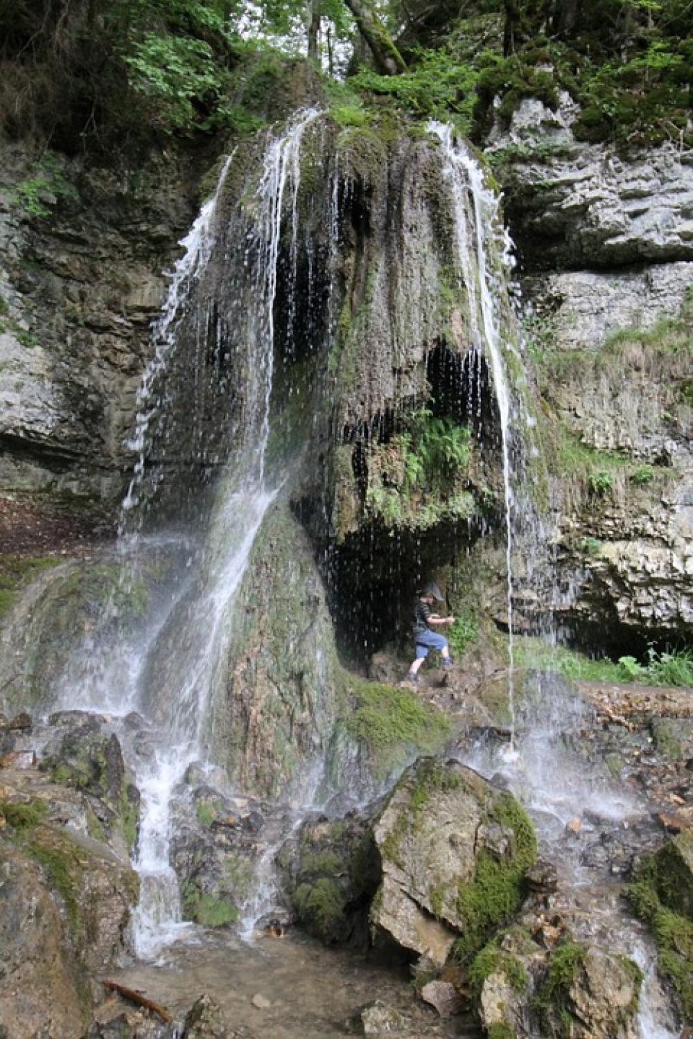 Waterfall Water Black Forest Gorge Trail Rock Waterfall Water Black Forest Gorge Trail Rock