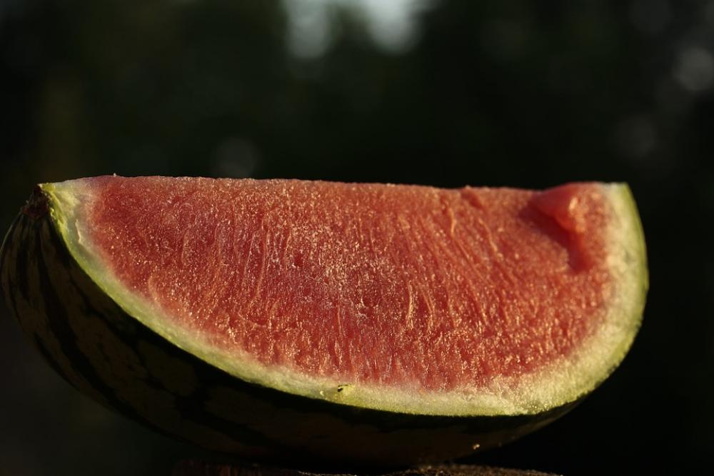 Watermelon Melon Fruit Food Delicious Eat Red Watermelon Melon Fruit Food Delicious Eat Red