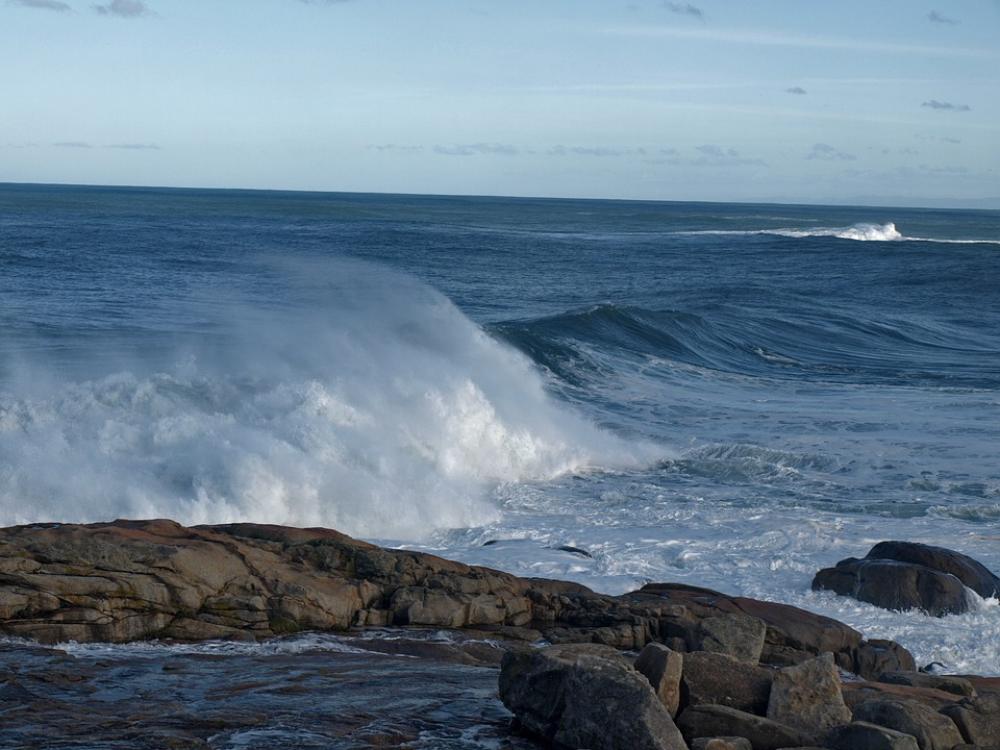 Wave Sea Foam Beach Nature Water Ocean Wave Sea Foam Beach Nature Water Ocean