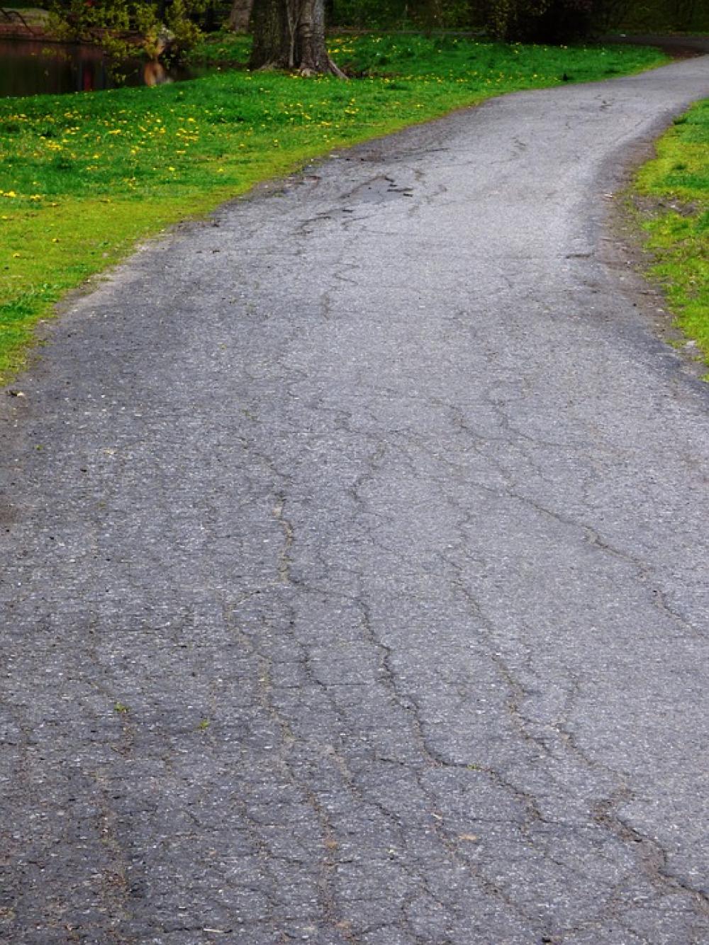 Way Road The Path Lane Trail Nature Asphalt Way Road The Path Lane Trail Nature Asphalt