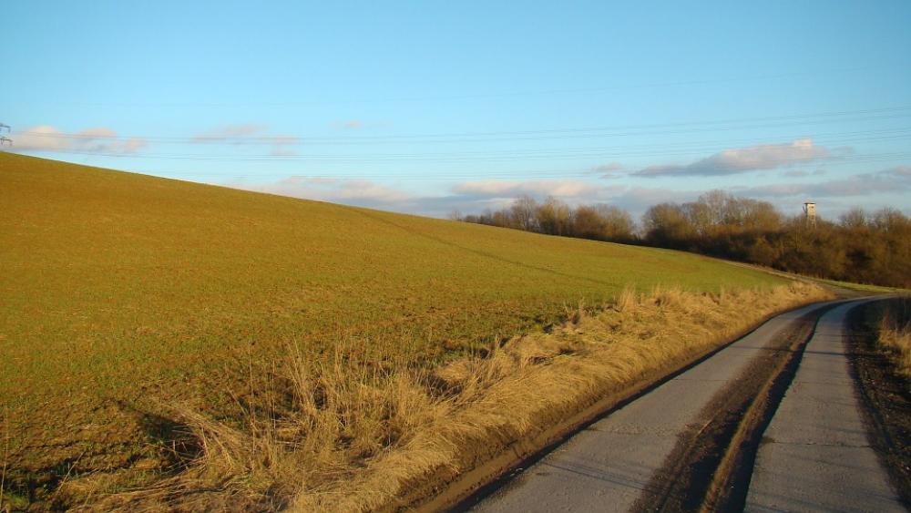 Way Asphalt Nature Sky Green Outdoor Grass Field Way Asphalt Nature Sky Green Outdoor Grass Field
