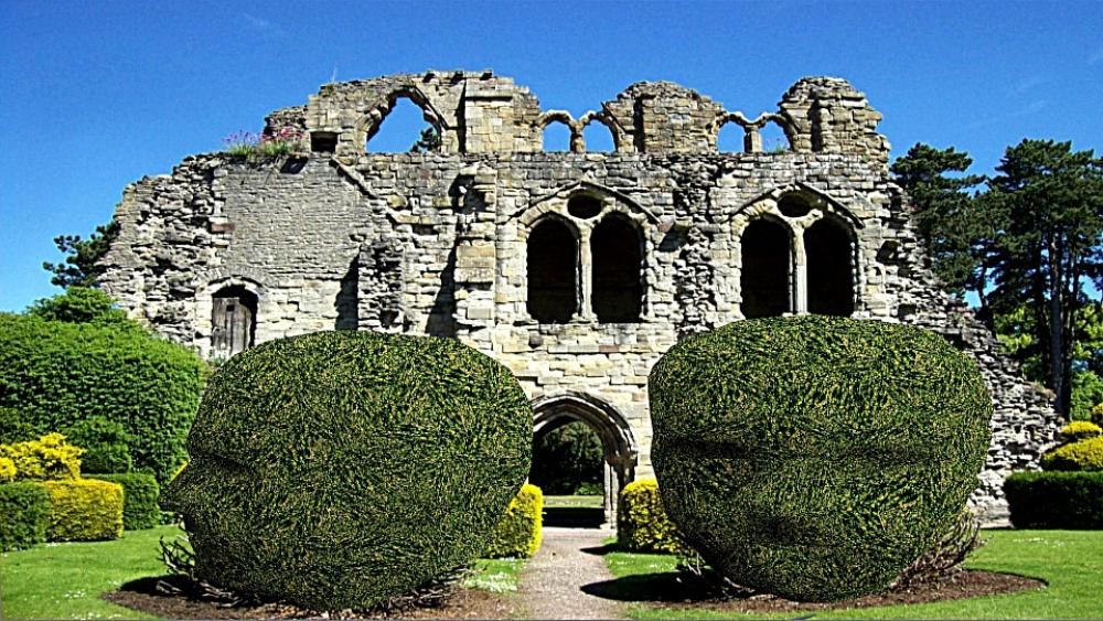 Wenlock Ruin Garden Size Boxwood Wenlock Ruin Garden Size Boxwood