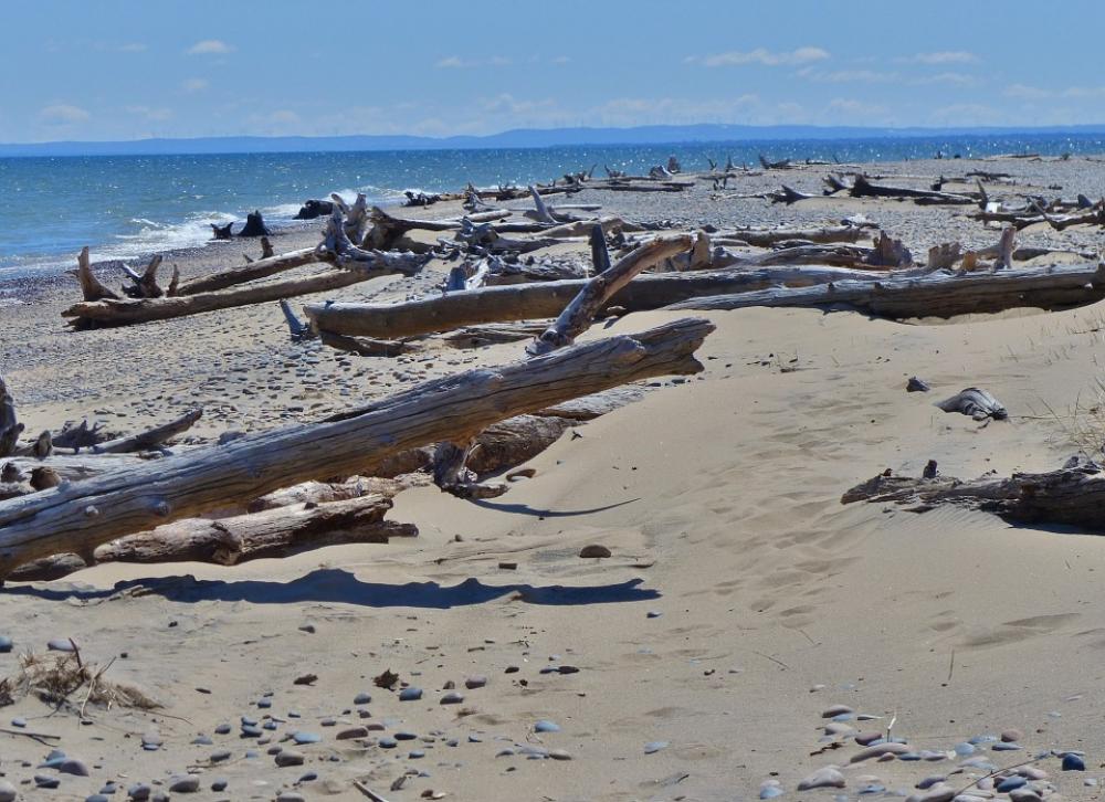White Fish Drift Wood Point Lighthouse Lake Huron White Fish Drift Wood Point Lighthouse Lake Huron