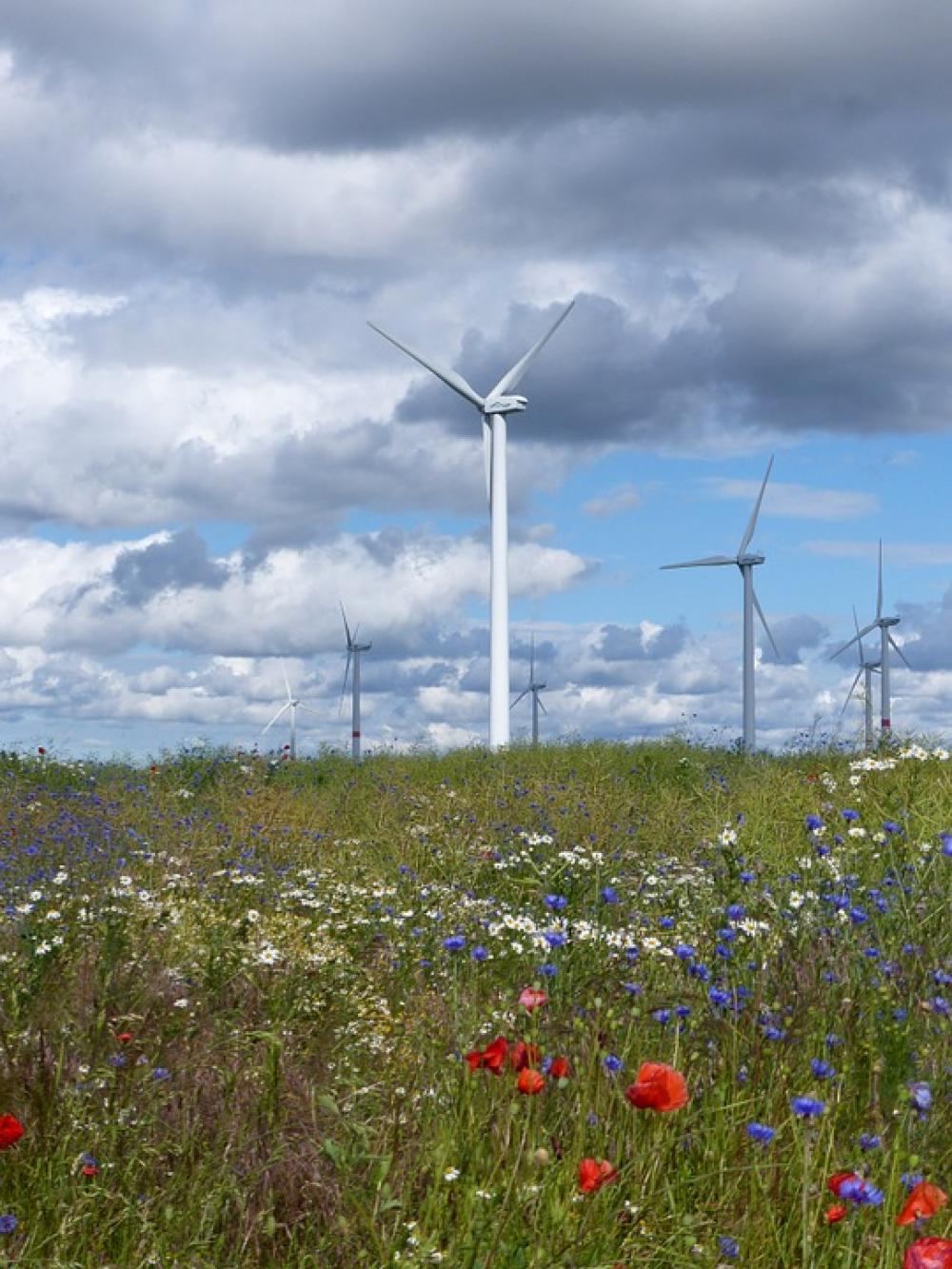 Wind Energy Sky Flowers Clouds Power Wind Energy Sky Flowers Clouds Power