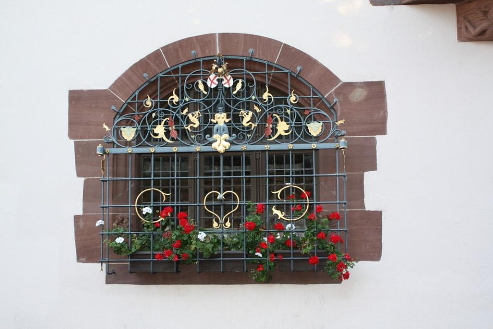 Window Building House Wall Grid Plant Flowers Window Building House Wall Grid Plant Flowers
