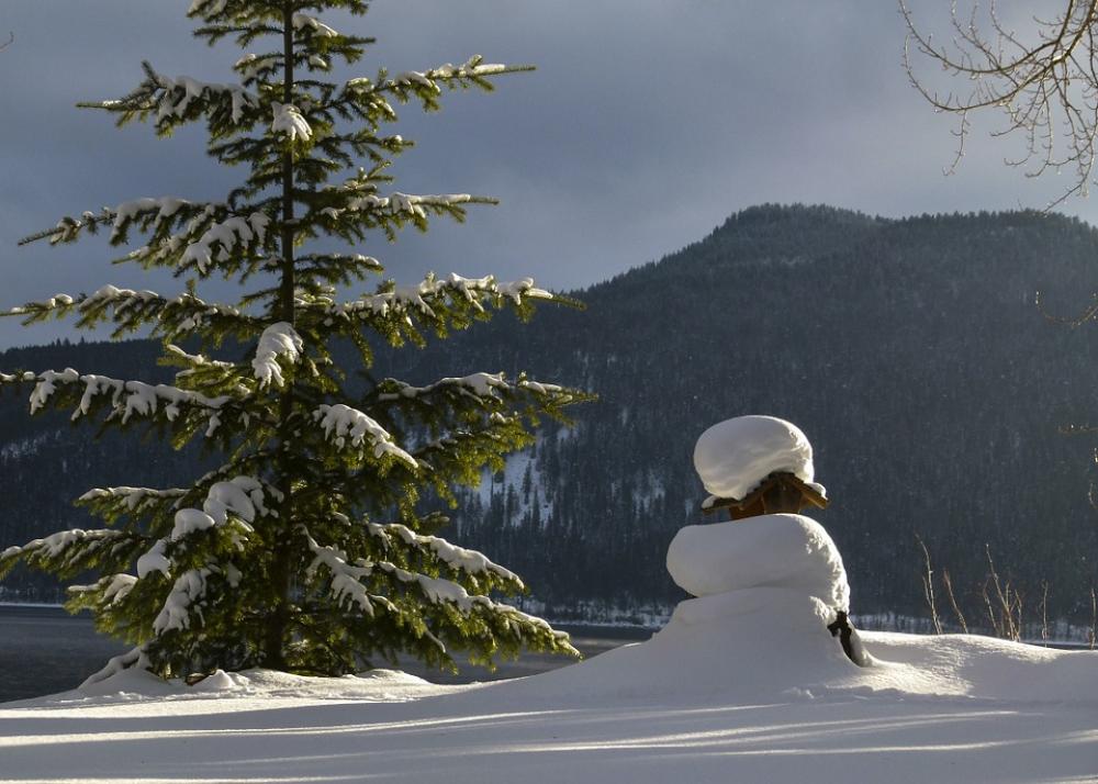 Winter Scenery Canim Lake British Columbia Canada Winter Scenery Canim Lake British Columbia Canada