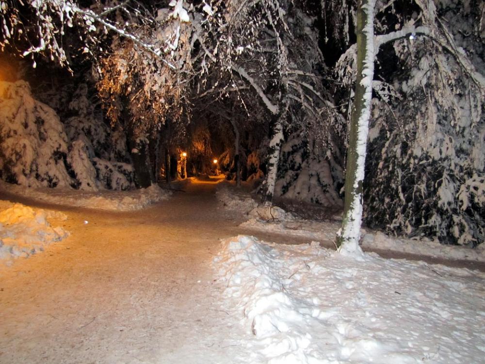 Winter Snow Landscape Park Winter Snow Landscape Park