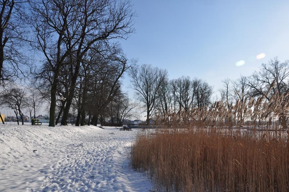 Winter Snow Landscape Poland Tree Winter Snow Landscape Poland Tree