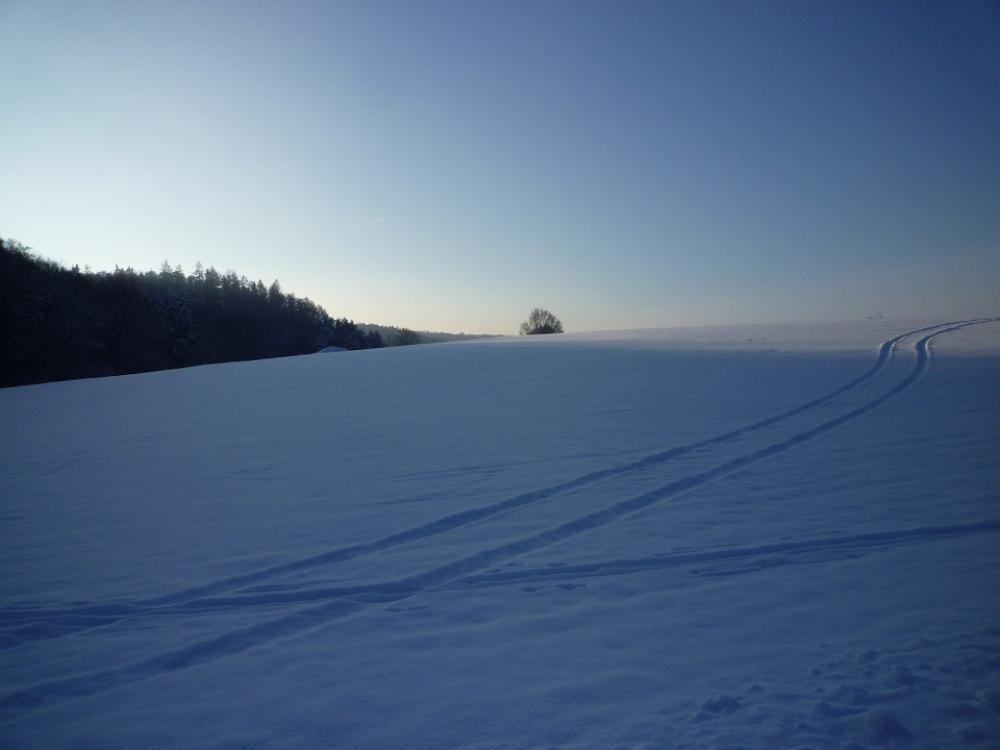 Winter Snow Cold Traces White Snow Magic Winter Snow Cold Traces White Snow Magic