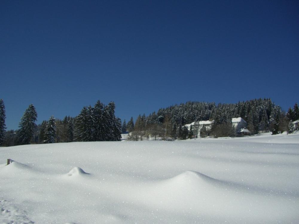 Winter White Blue Snow Sky Firs Health Clinic Winter White Blue Snow Sky Firs Health Clinic