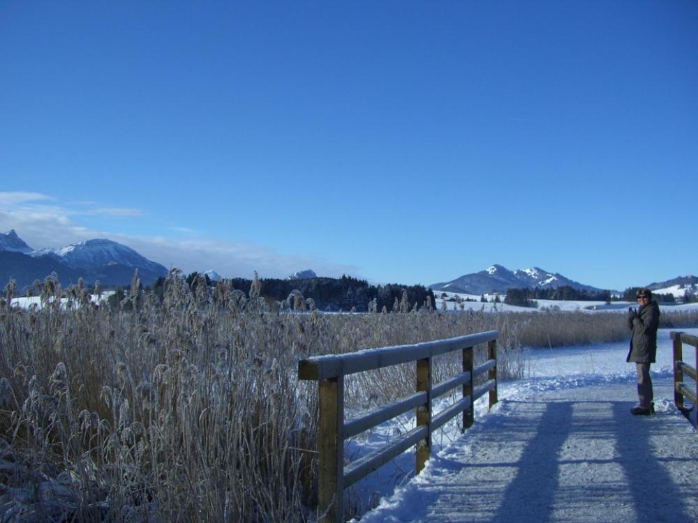 Winter Alpine Panorama Lake Bridge Reed Ripe Winter Alpine Panorama Lake Bridge Reed Ripe