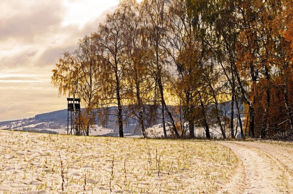 Winter Season Snow Landscape Journey Holiday Winter Season Snow Landscape Journey Holiday
