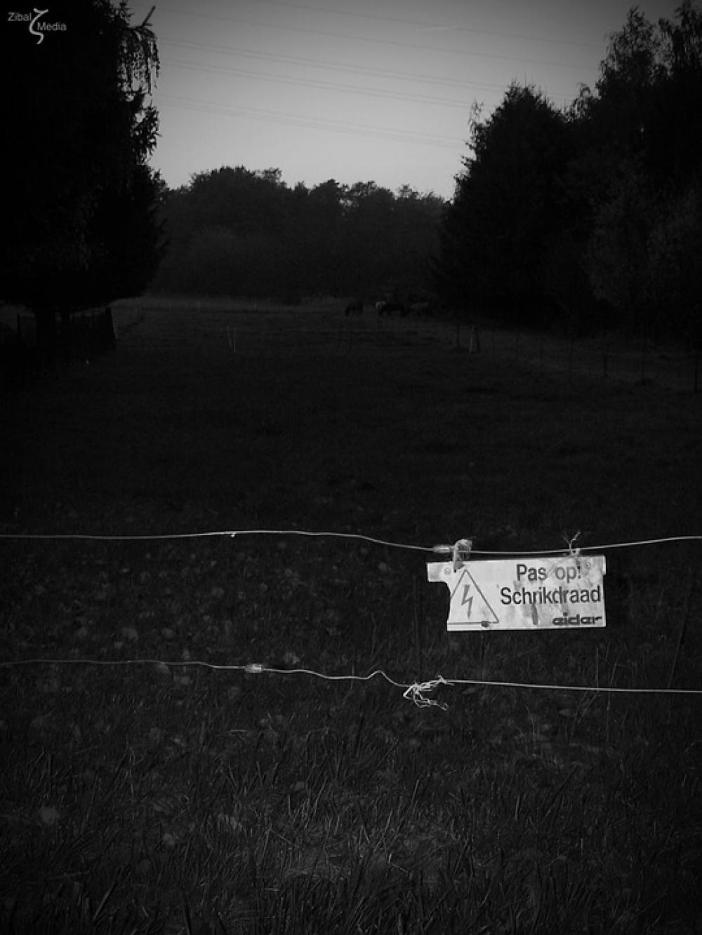 Wire Current Caution Wire Current Caution