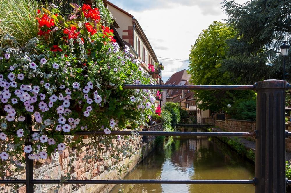 Wissembourg France Historic Center Channel Wissembourg France Historic Center Channel