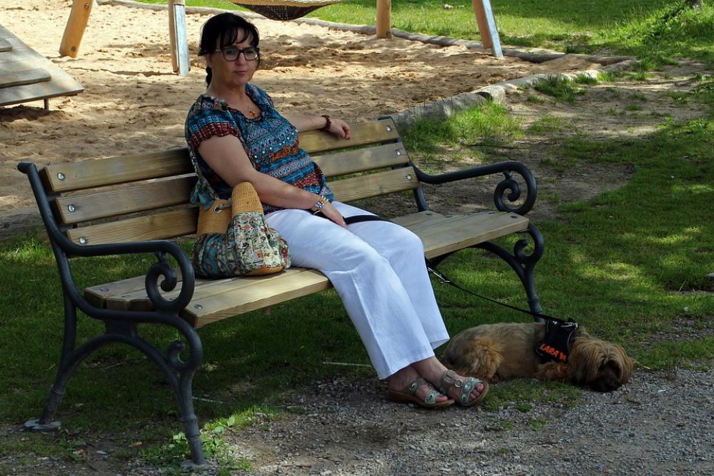 Woman Person Dog Bench Bank Alone Individually Woman Person Dog Bench Bank Alone Individually