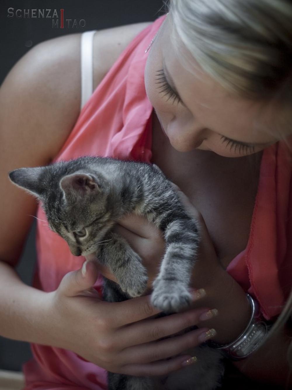Woman Girl Blond Blondie With Cat With Kitty Woman Girl Blond Blondie With Cat With Kitty