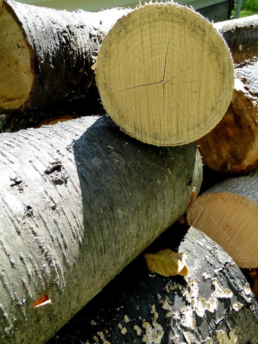 Wood Logs Firewood Cut Dried Stack Stacked Wood Logs Firewood Cut Dried Stack Stacked