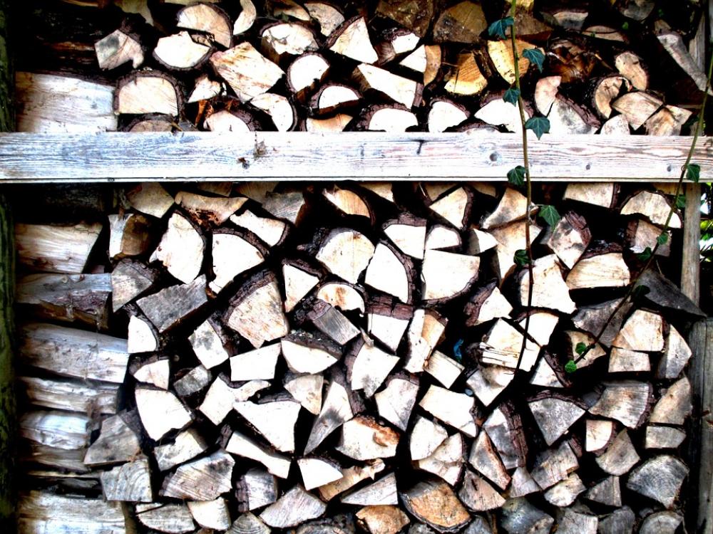 Wood Holzstapel Firewood Stacked Ivy Entwine Wood Holzstapel Firewood Stacked Ivy Entwine