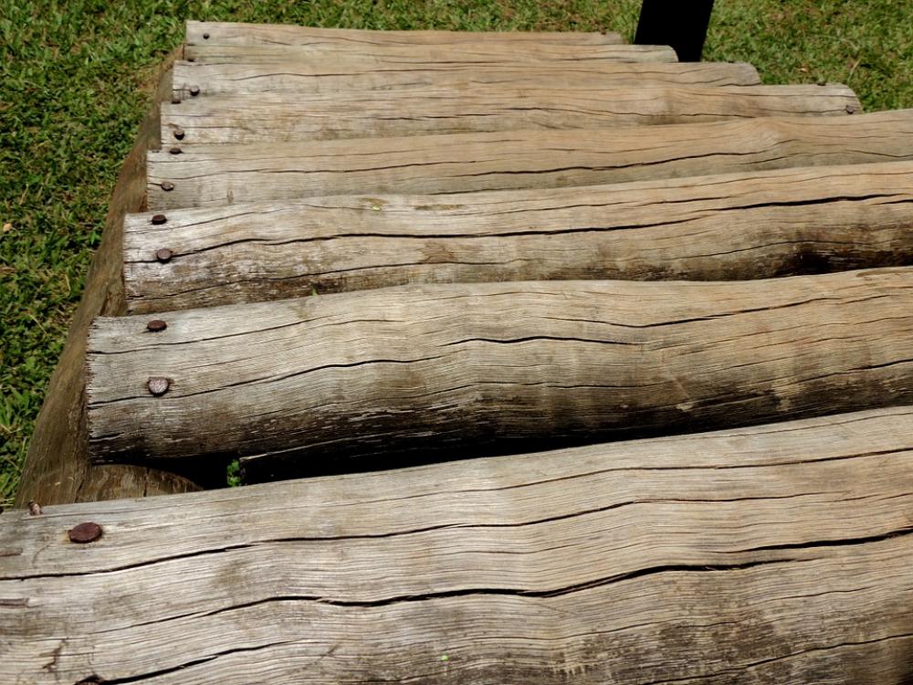 Wood Trunks Stairs Of Trunks Trunk Wood Trunks Stairs Of Trunks Trunk