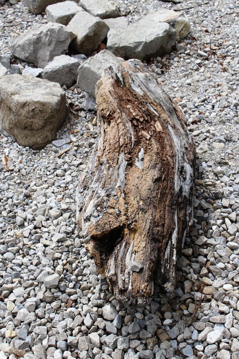 Wood Driftwood Drift Wood Stones Shore Stones Wood Driftwood Drift Wood Stones Shore Stones