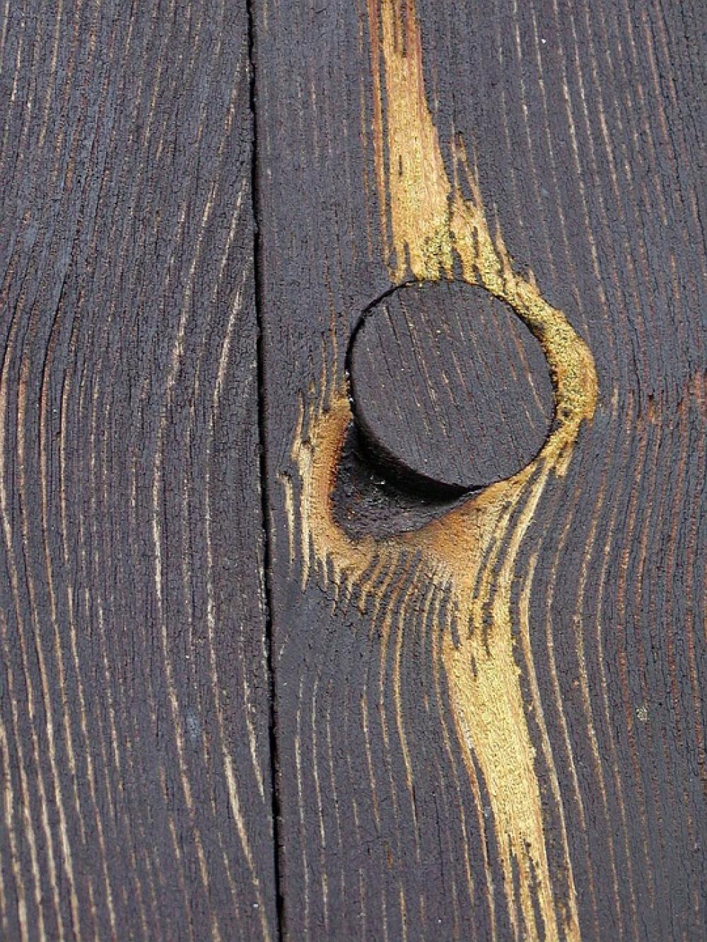 Wood Knot Detail Color Fence Wood Knot Detail Color Fence
