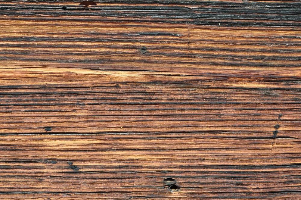 Wood Nature Brown Background Wood Nature Brown Background