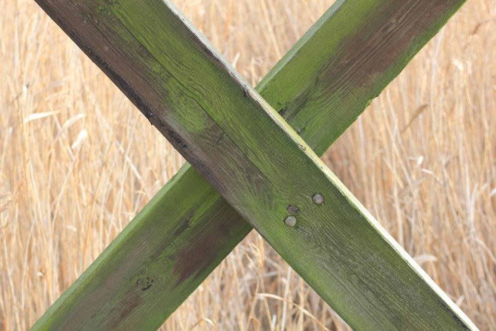Wood Stag Letter Support X Algae Green Wood Stag Letter Support X Algae Green