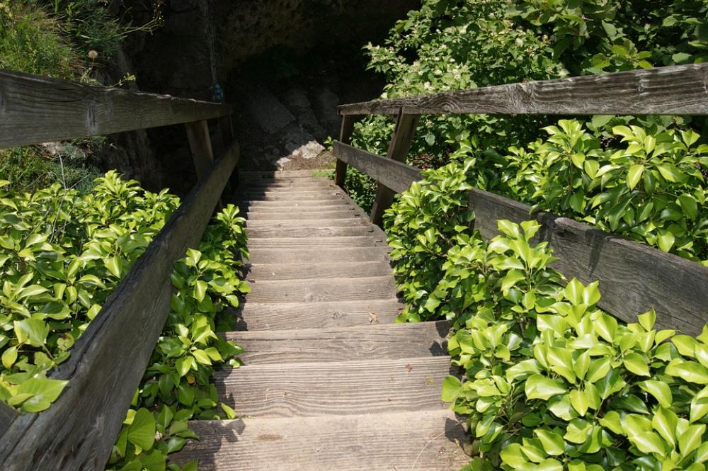 Wood Stairs Stairs Upward Down Rise Steep Descent Wood Stairs Stairs Upward Down Rise Steep Descent