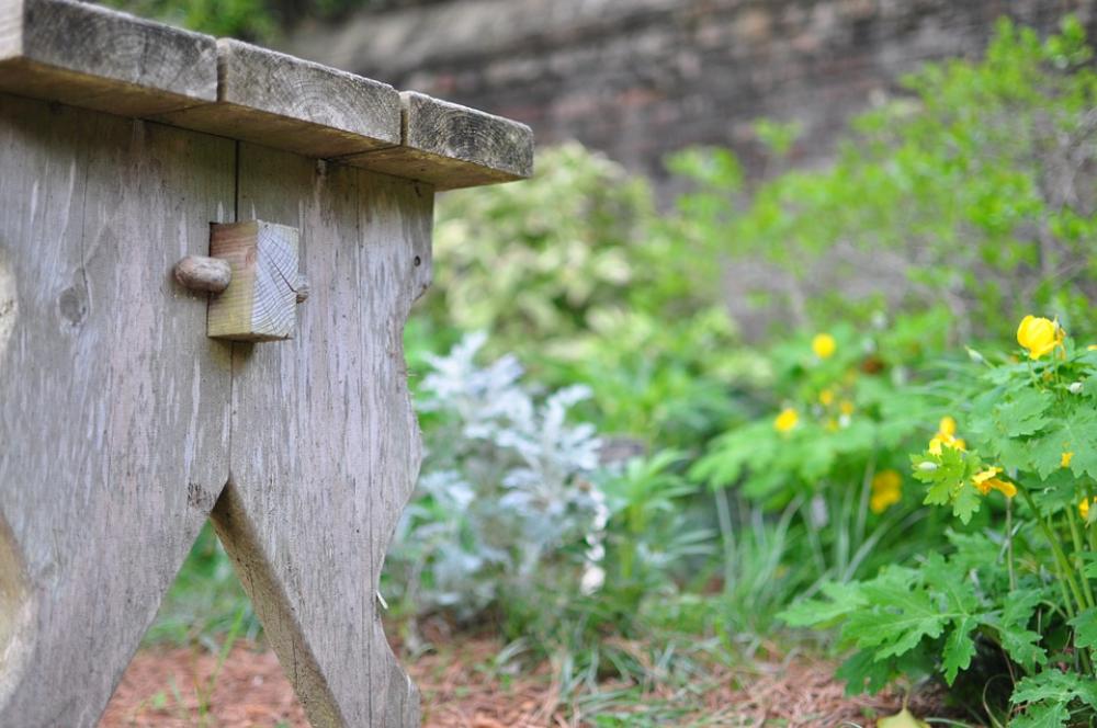 Wooden Bench Seat Garden Outdoors Wooden Bench Seat Garden Outdoors