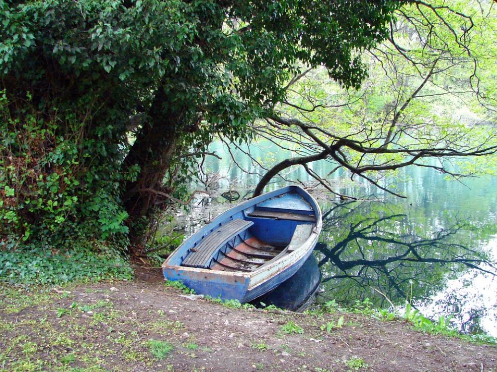 Wooden Boat Little Bay Lake Shore Reflections Calm Wooden Boat Little Bay Lake Shore Reflections Calm