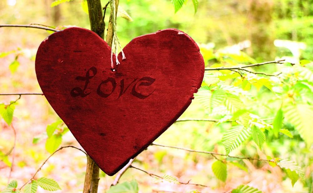 Wooden Heart Heart Symbol Love Romance Nature Wooden Heart Heart Symbol Love Romance Nature