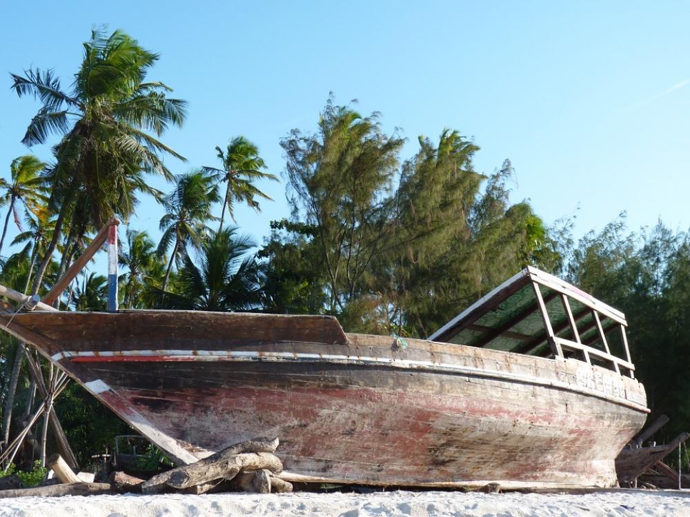 Zanzibar Boat Beach Palm Trees Zanzibar Boat Beach Palm Trees