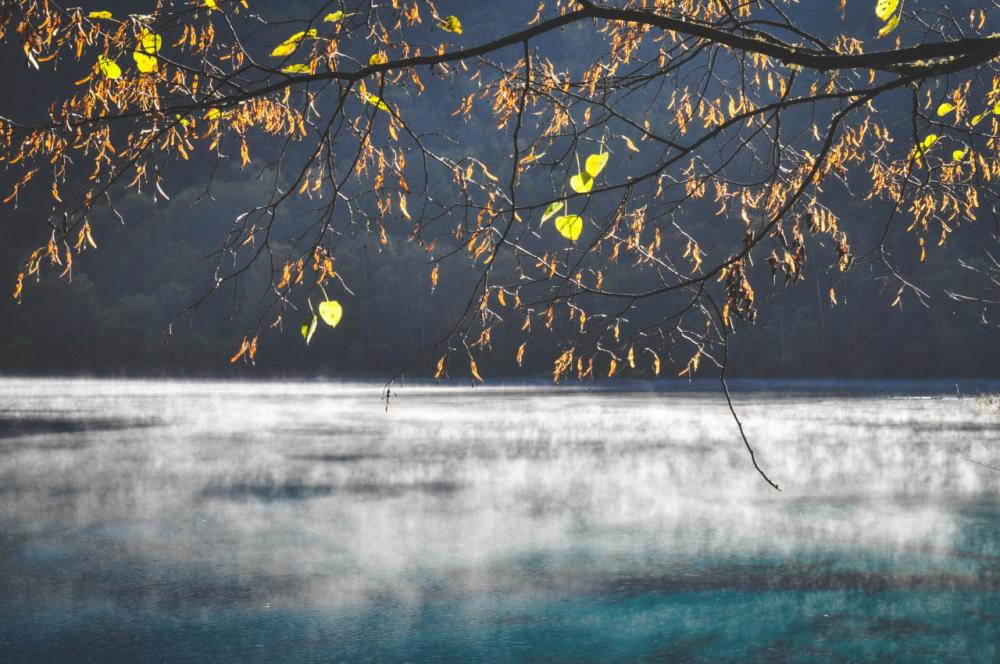 Daybreak on Five Flower Lake, Jiuzhaigou, Sichuan, China. Daybreak on Five Flower Lake, Jiuzhaigou, Sichuan, China.