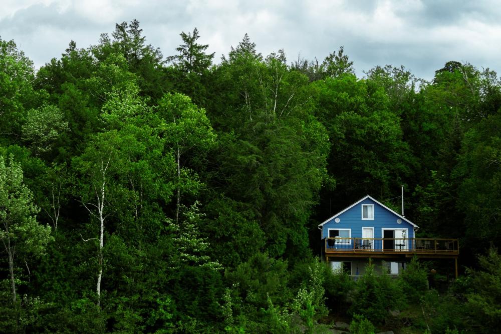Cabin In The Woods Photo Cabin In The Woods Photo