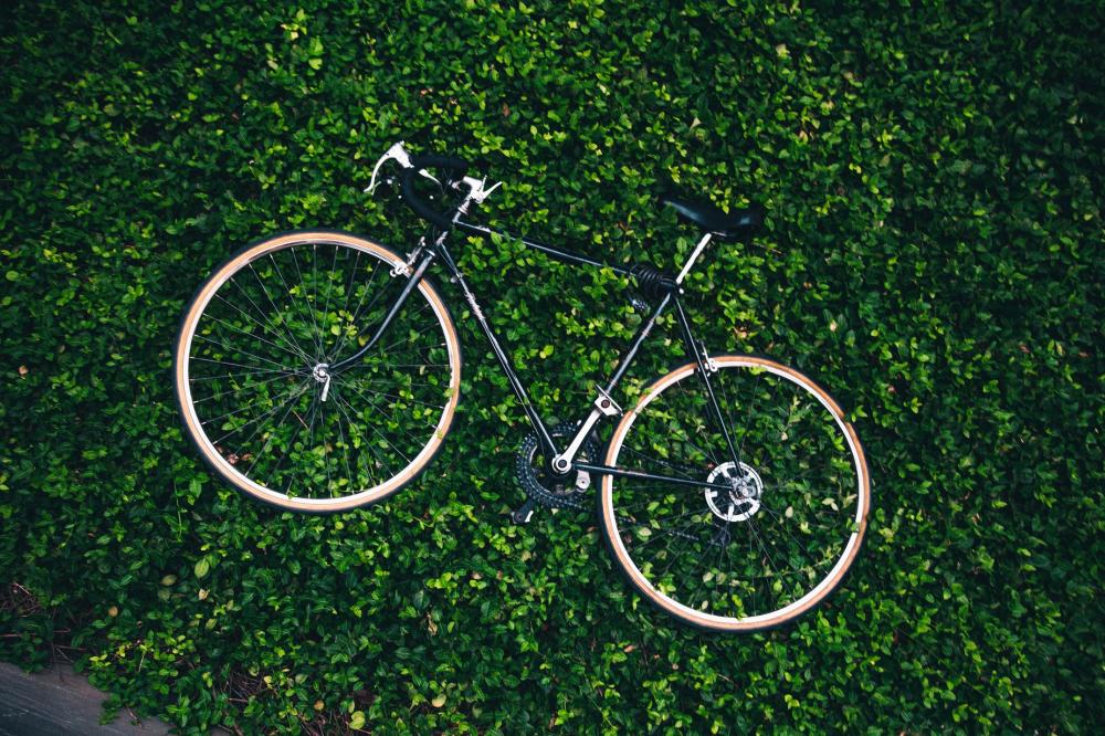 Bicycle In The Garden Photo Bicycle In The Garden Photo