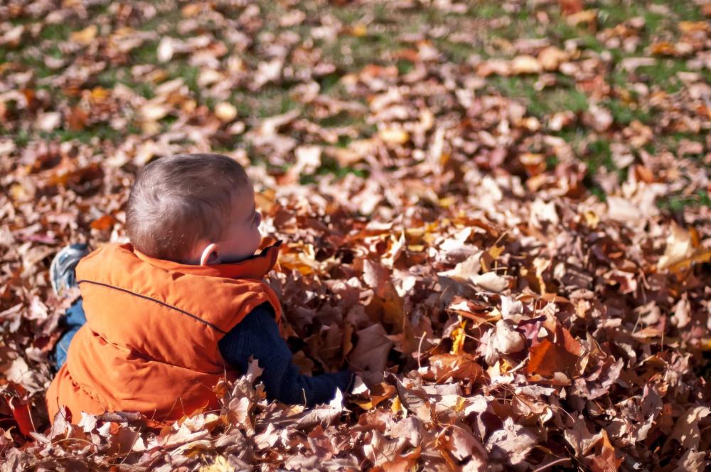 Child Playing In Fall Leaves Photo Child Playing In Fall Leaves Photo