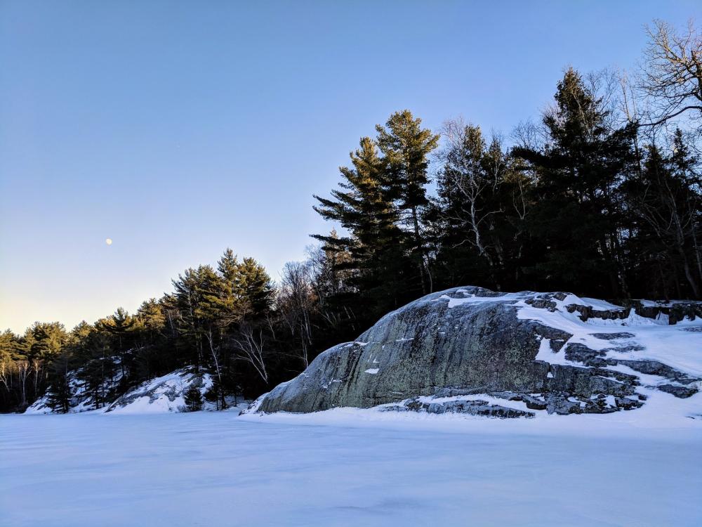 Forests Edge In Cold Winter Photo Forests Edge In Cold Winter Photo