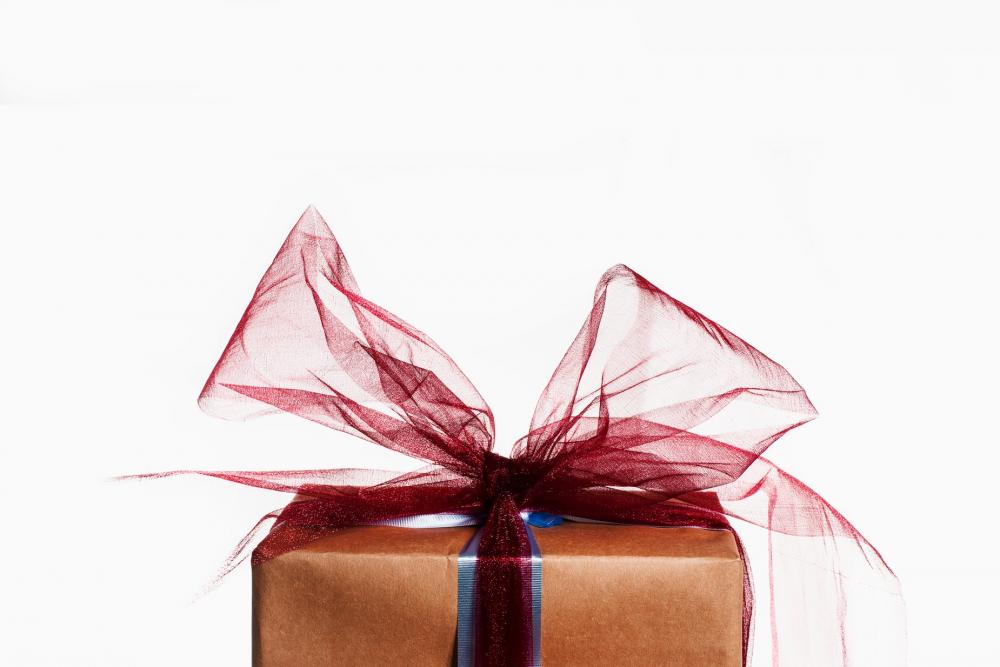 Gift Wrapped With A Big Red Bow Photo Gift Wrapped With A Big Red Bow Photo