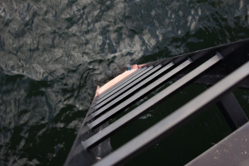 Ladder To Water Photo Ladder To Water Photo