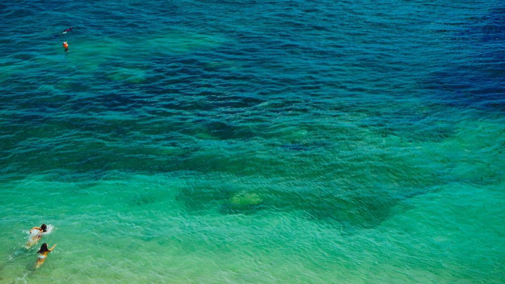 Ocean Water With Swimmers Photo Ocean Water With Swimmers Photo