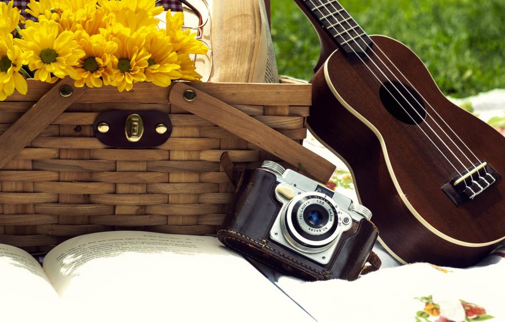 Outdoor Afteroon Picnic In The Park Photo Outdoor Afteroon Picnic In The Park Photo