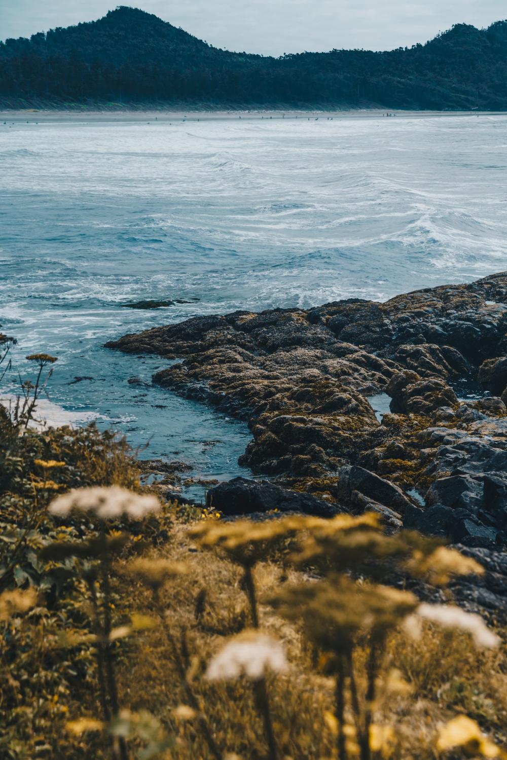 Pacific Ocean Shoreline Photo Pacific Ocean Shoreline Photo