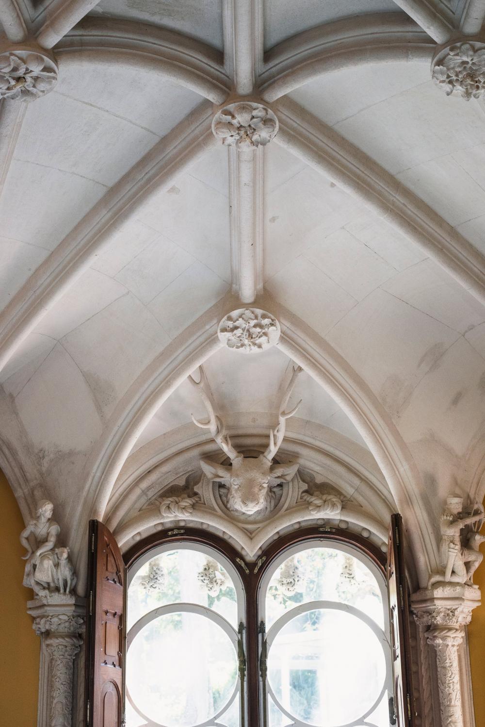 Sculpted Ceiling Over Ornate Windows Photo Sculpted Ceiling Over Ornate Windows Photo